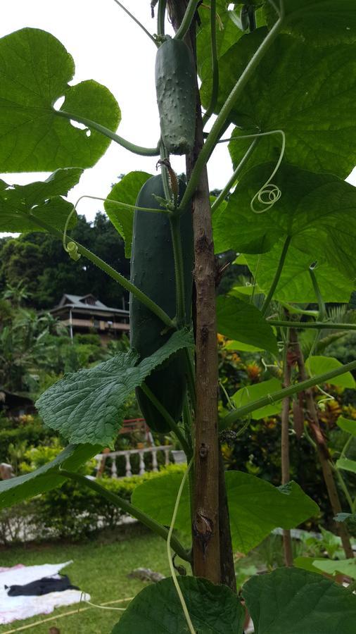 帕尔马小屋酒店 拉迪格岛 外观 照片